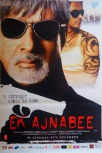 Download Ek Ajnabee (2005) Web-DL Hindi Movie 480p & 720p & 1080p