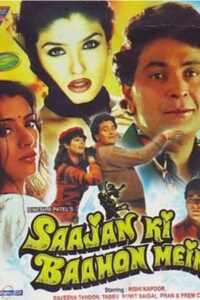 Download Saajan Ki Baahon Mein (1995) Web-DL Hindi Movie 480p & 720p & 1080p