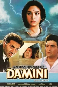 Download Damini (1993) NF WEB-DL Hindi Movie (DD 5.1) 480p & 720p & 1080p ESub