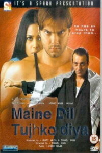 Download Maine Dil Tujhko Diya (2002) Hindi Movie Web-DL 480p & 720p & 1080p