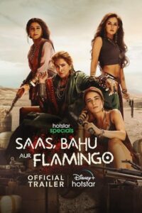 Download Saas, Bahu Aur Flamingo (Season 1) Hindi + Multi Audio 480p & 720p & 1080p {Hotstar Series}