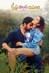 Download Krishna Vrinda Vihari (2022) Web-DL {Hindi-Telugu} Dual Audio 480p & 720p & 1080p