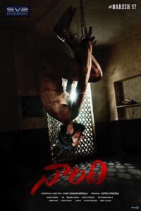 Download Naandhi (2021) WEB-DL Dual Audio {Hindi-Telugu} 480p & 720p & 1080p
