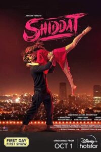 Download Shiddat (2021) Web-DL Hindi Movie 480p & 720p & 1080p
