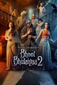Download Bhool Bhulaiyaa 2 (2022) Web-DL Hindi Movie 480p & 720p & 1080p