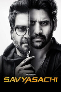 Download Savyasachi (2018) WEB-DL {Hindi-Telugu} 480p & 720p & 1080p