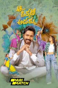 Download Aa Okkati Adakku (2024) CAMRip HQ Hindi Dubbed 480p & 720p & 1080p