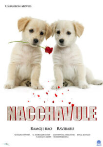 Download Nachavule (2008) WEB-DL Telugu Movie 720p & 1080p