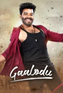 Download Gaalodu (2022) WEB-DL Dual Audio [Hindi-Telugu] 480p & 720p & 1080p Esub