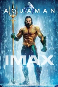 Download Aquaman (2018) IMAX Bluray Dual Audio {Hindi (DD 5.1) & English} 480p & 720p & 1080p ESub