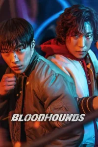 Download Bloodhounds (Season 1-2) NF WEB-DL Dual Audio {Hindi (DD 5.1) & Korean} 480p & 720p& 1080p MSubs