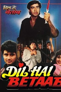 Download Dil Hai Betaab (1993) AMZN WEB-DL Hindi Movie (DD 2.0) 480p & 720p & 1080p ESub