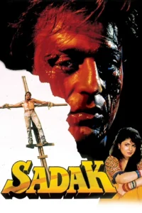 Download Sadak (1991) AMZN WEB-DL Hindi Movie (DD 2.0) 480p & 720p & 1080p ESub