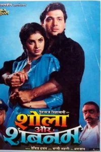 Download Shola Aur Shabnam (1992) AMZN WEB-DL Hindi Movie (DD 2.0) 480p & 720p & 1080p ESub