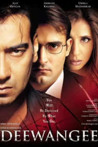 Download Deewangee (2002) AMZN WEB-DL Hindi Movie (DD 5.1) 480p & 720p & 1080p ESub