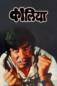 Download Kaalia (1981) WEB-DL (DD 2.0) Hindi Movie 480p & 720p & 1080p ESub