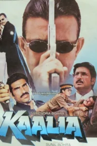 Download Kaalia (1997) AMZN WEB-DL Hindi Movie (DD 2.0) 480p & 720p & 1080p ESub
