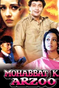 Download Mohabbat Ki Arzoo (1994) AMZN WEB-DL Hindi Movie (DD 2.0) 480p & 720p & 1080p ESub
