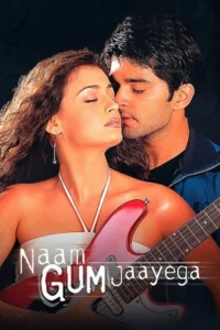 Download Naam Gum Jaayega (2005) Zee5 WEB-DL Hindi Movie (AAC 2.0) 480p & 720p & 1080p ESub