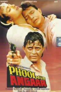 Download Phool Aur Angaar (1993) AMZN WEB-DL Hindi Movie (DD 2.0) 480p & 720p & 1080p ESub