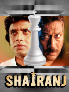 Download Shatranj (1993) AMZN WEB-DL Hindi Movie (DD 2.0) 480p & 720p & 1080p ESub