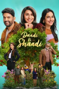 Downlad Daadi Ki Shaadi (2026) NF WEB-DL Hindi Movie (DD 5.1) 480p & 720p & 1080p ESub