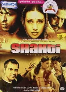 Download Shakti: The Power (2002) AMZN WEB-DL Hindi (DD 5.1) 480p & 720p & 1080p ESub