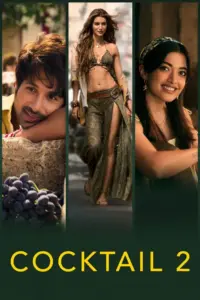 Download Cocktail 2 (2026) DS4K NF WEB-DL Hindi Movie (DD 5.1) 480p & 720p & 1080p ESub