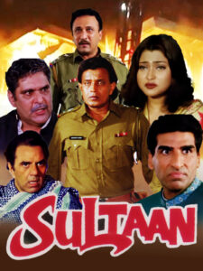 Download Sultaan (2000) AMZN WEB-DL Hindi Movie (DD 2.0) 480p & 720p & 1080p ESub