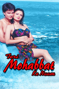 Download Teri Mohabbat Ke Naam (1999) AMZN WEB-DL Hindi Movie (DD 2.0) 480p & 720p & 1080p ESub